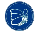 Jardín  Mariposa Azul