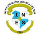  Colegio Nueva Escuela del Sur