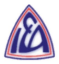 Logo de Evangelico Argentino