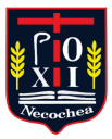 Logo de Jardín De Infantes  Pio Xii