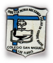 Logo de Instituto  San Miguel