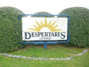 Logo de Colegio Despertares