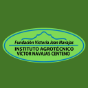 Logo de Instituto  Victor Navajas Centeno 