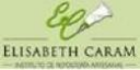 Logo de Instituto Elisabeth Caram  De Reposteria Artesanal