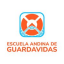 Logo de  Andina De Guardavidas