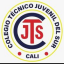 Logo de Tecnico Juvenil Del Sur