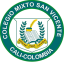 Logo de Mixto San Vicente