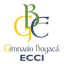 Logo de Boyaca ECCI