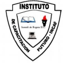 Logo de Instituto Futuro - Incaf