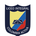 Colegio Liceo Integral Colombia Activa