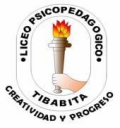 Liceo  Psicopedagogico Tibabita