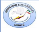 Logo de Gimnasio  Los Ángeles 