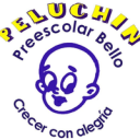 Logo de Escuela Infantil  Peluchin