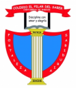 Colegio Pilar Del Saber