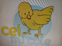 Escuela Infantil Mi Cole