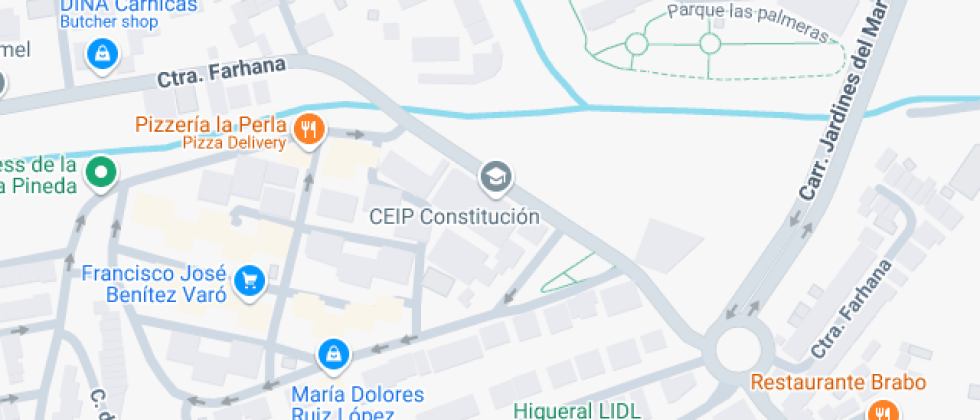 Constitución