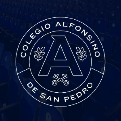 Colegio Alfonsino De San Pedro De San Pedro Garza García Opiniones Y