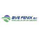 Logo de Instituto Aviacion Ave Fenix
